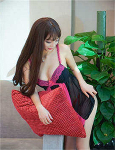 《美人天下简介》